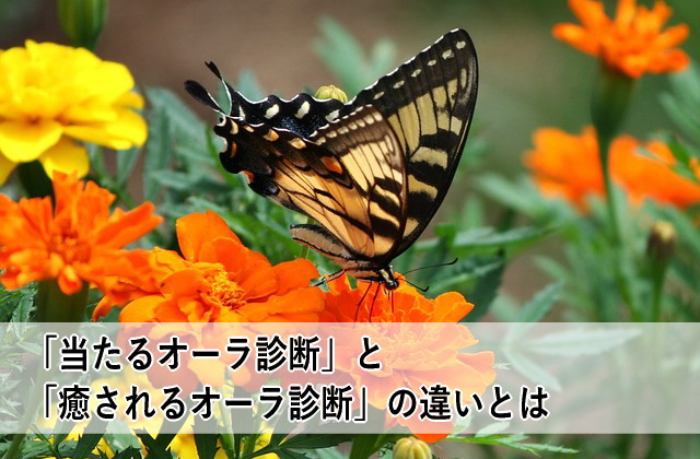 「当たるオーラ診断」と「癒されるオーラ診断」の違いとは