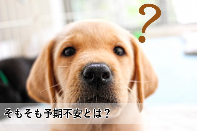 そもそも予期不安とは?