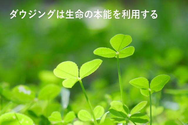 ダウジングは生命の本能を利用する