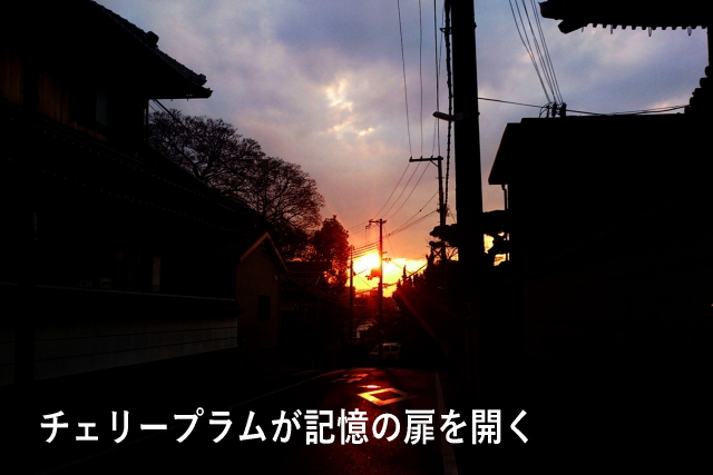 チェリープラムが記憶の扉を開く