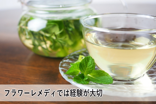 フラワーレメディでは経験が大切