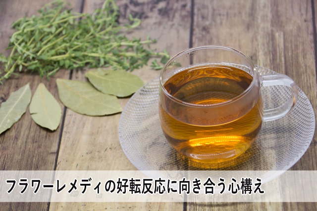 フラワーレメディの好転反応に向き合う心構え