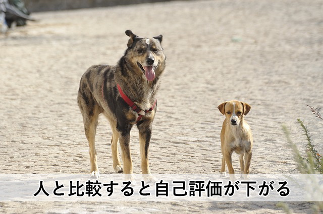 人と比較すると自己評価が低くなる