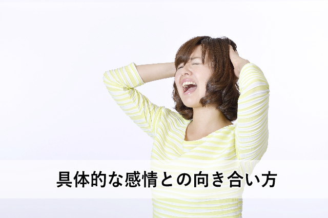具体的な感情との向き合い方
