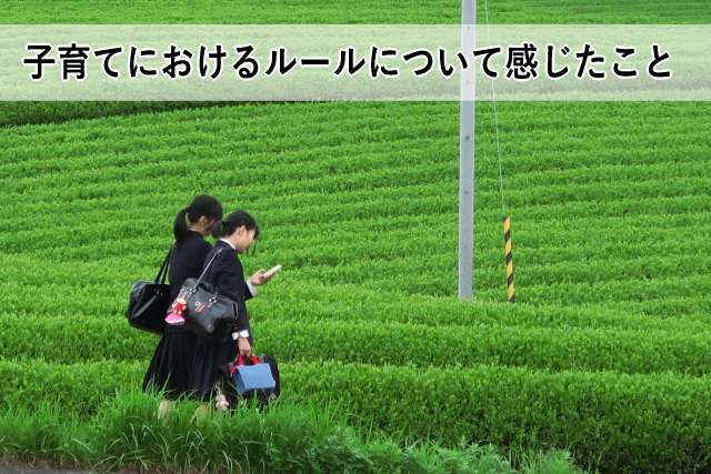 子育てにおけるルールについて感じたこと