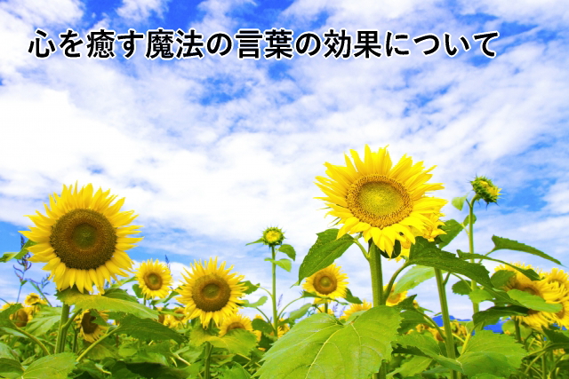 心を癒す魔法の言葉の効果について