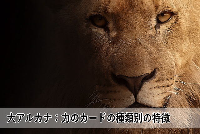 大アルカナ:力のカードの種類別の特徴