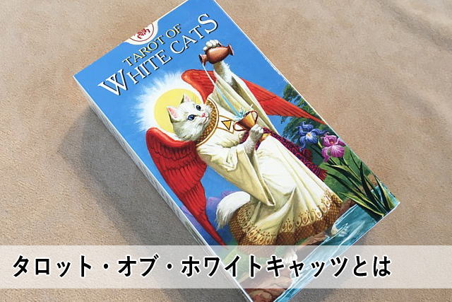 タロット・オブ・ホワイトキャッツとは