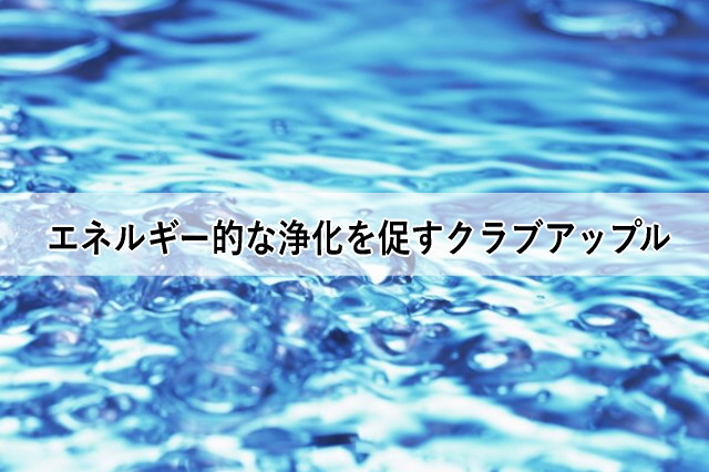 エネルギー的な浄化を促すクラブアップル