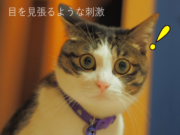 目を見張るような刺激