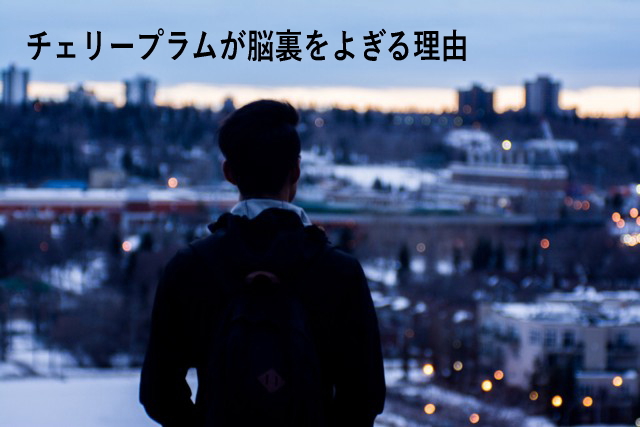 チェリープラムが脳裏をよぎる理由