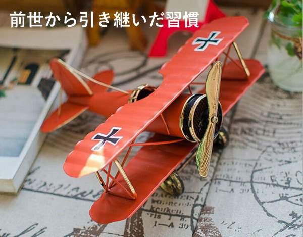 前世から引き継いだ習慣